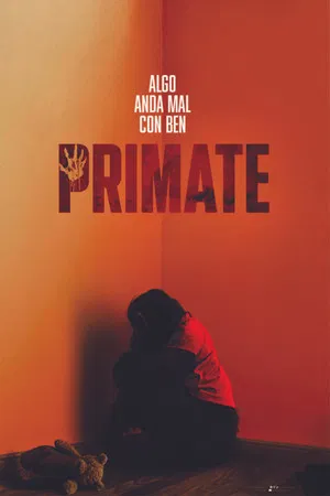 Primate